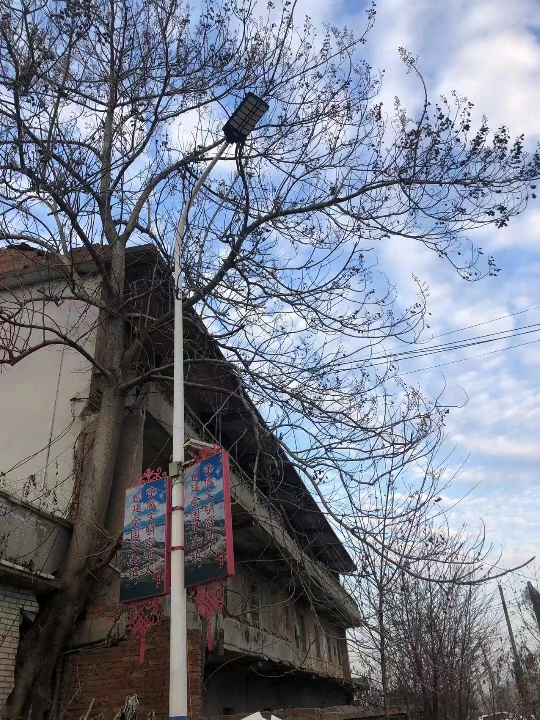 微信图片_20240205015228.jpg
