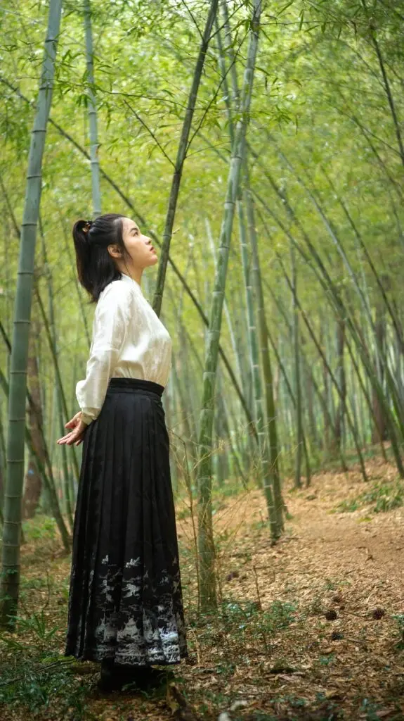 风牵一袖原创汉服[好多人]正品黑色马面裙冬男女国风立领短衫套装