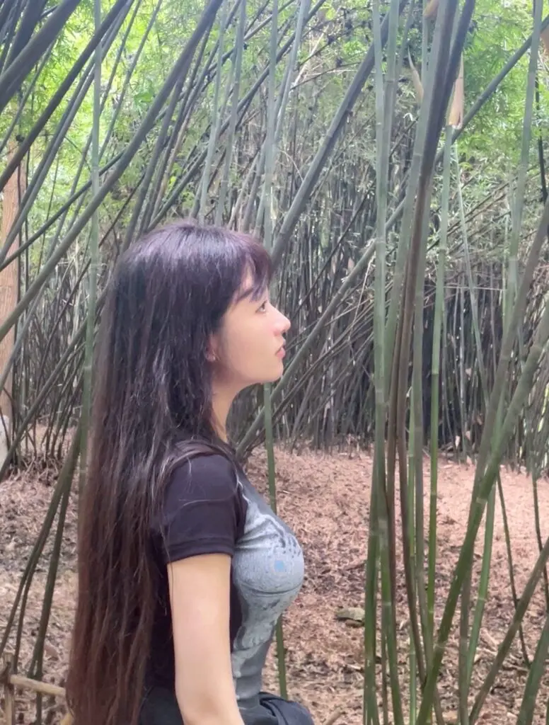 [IMXS]透视印花T恤正肩修身辣妹性感显瘦夏季美式上衣针织短袖女