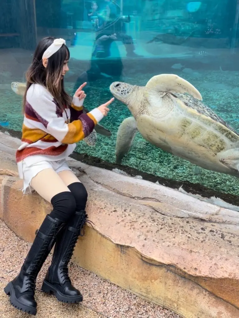 夏天配裙子的靴子透气长靴白色夏季女薄款潮流镂空凉靴长筒靴