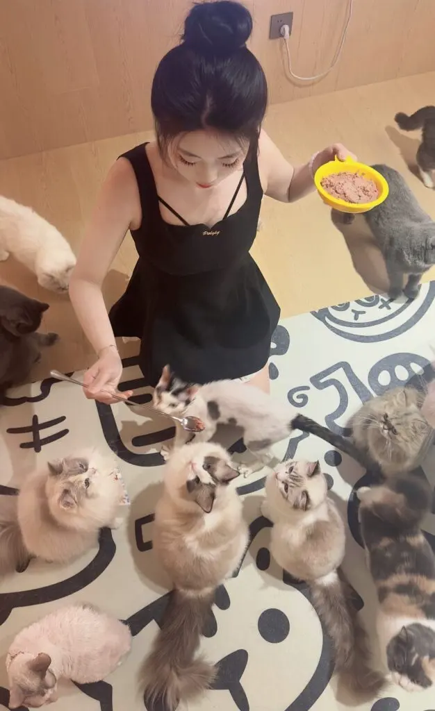 palglg法式赫本风黑色背带无袖连衣裙夏季高级感显瘦气质拼接千金小黑裙