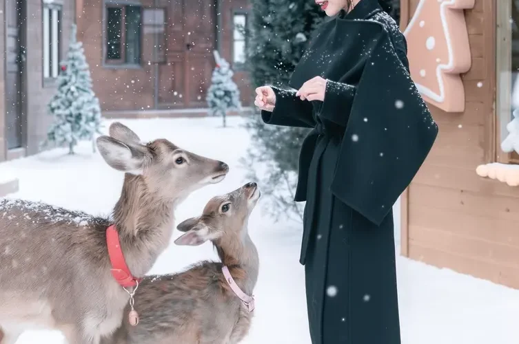 o1cn01gzasqj1juhroq134z !!4611686018427386600 0 rate compressed